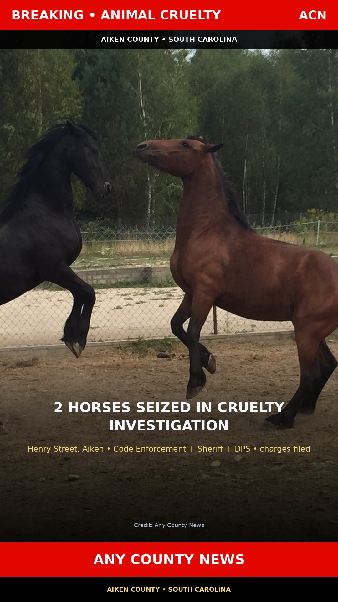 Breaking graphic: Aiken County 2 horses seized; man charged